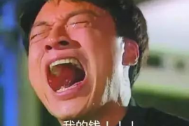 孝昌债务清欠服务